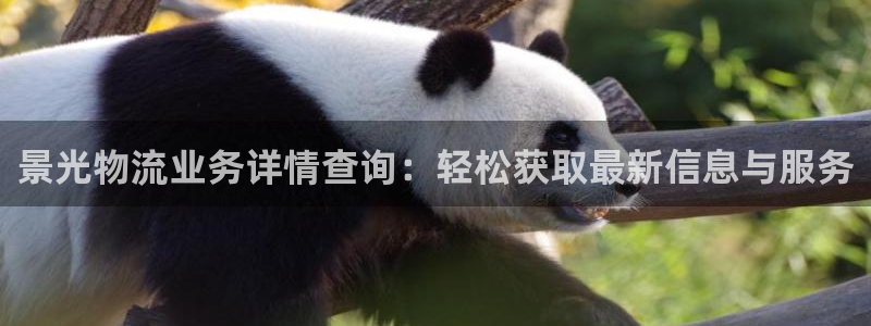 豪门国际代理落网：景光物流业务详情查