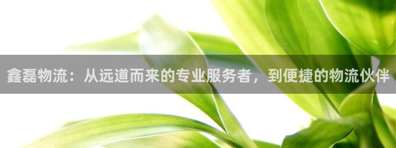 豪门国际注册网页版：鑫磊物流：从远道