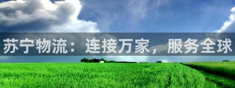 豪门国际的自行车：苏宁物流：连接万家