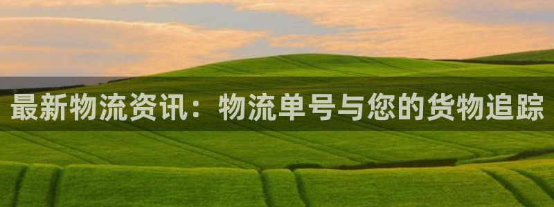 豪门国际软件总是闪退怎么回事：最新物