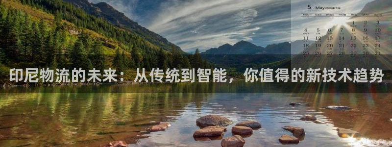 豪门国际PG电子游戏：印尼物流的未来