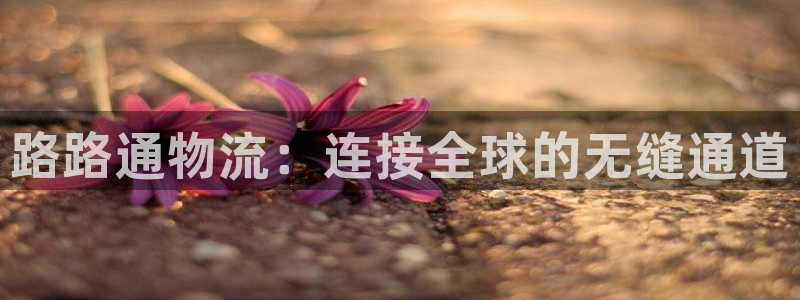 豪门国际app能退款吗：路路通物流：