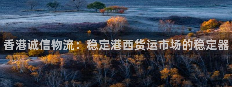 豪门国际客服一直不回消息怎么办：香港诚信物流：稳定港西货运市