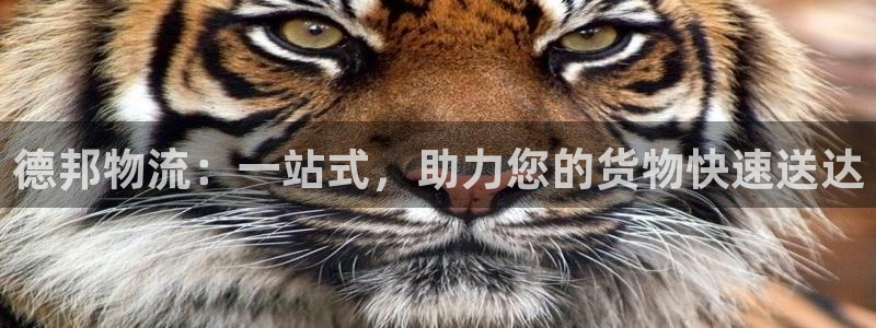 豪门国际pg如何退钱：德邦物流：一站
