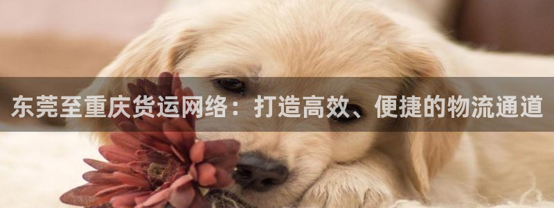 豪门国际官网下载多少钱：东莞至重庆货