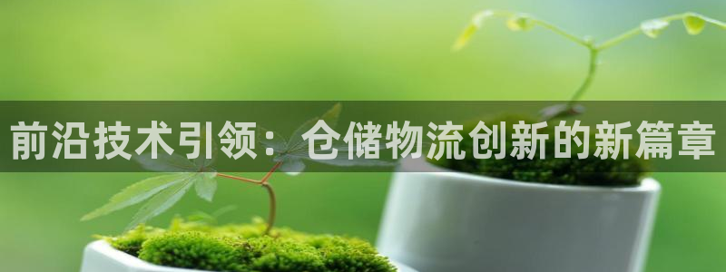 豪门国际流水怎么算：前沿技术引领：仓