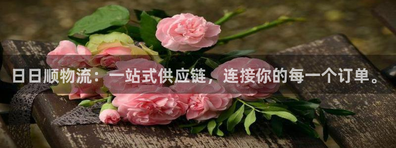 豪门国际怎么注册游戏名字：日日顺物流
