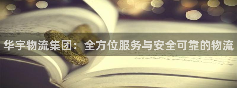 豪门国际官网版下载：华宇物流集团：全