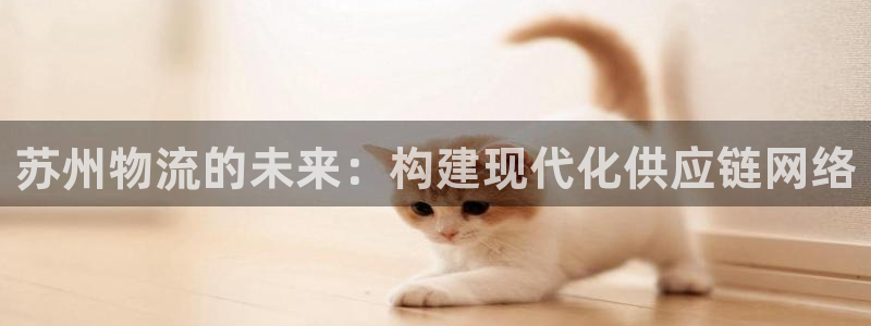 豪门国际玩法：苏州物流的未来：构建现