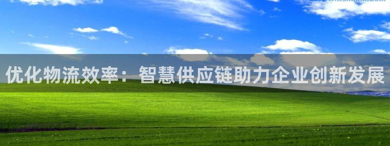 豪门国际账号注册：优化物流效率：智慧