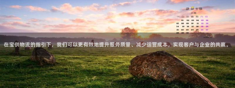 豪门国际的平台：在宝供物流的指引下，