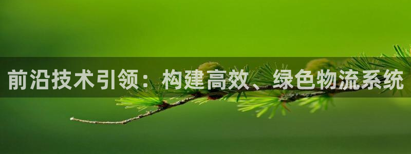 豪门国际链接：前沿技术引领：构建高效