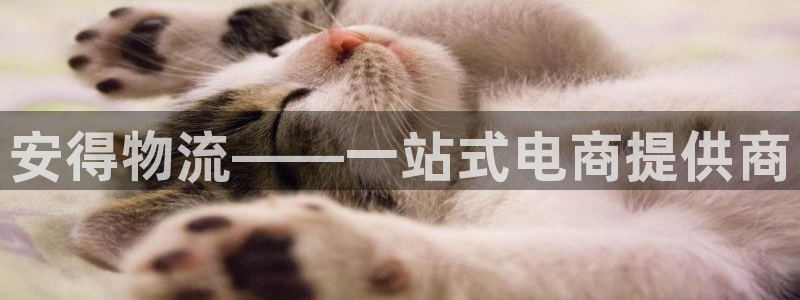 豪门国际官网下载多少：安得物流——一
