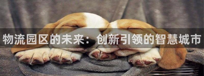豪门国际注册登录流程：物流园区的未来