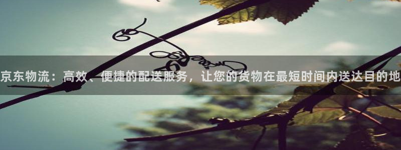 豪门国际注册问一问：京东物流：高效、