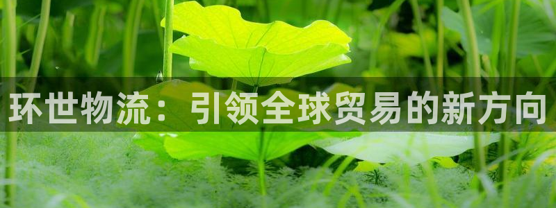 豪门国际ccm官网版：环世物流：引领全球贸易的新方向