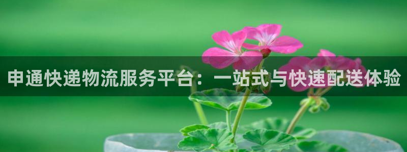 豪门国际加拿大开奖：申通快递物流服务