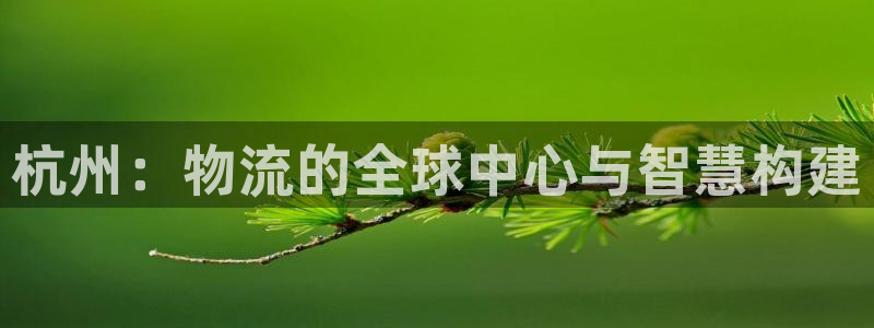 豪门国际是干嘛的