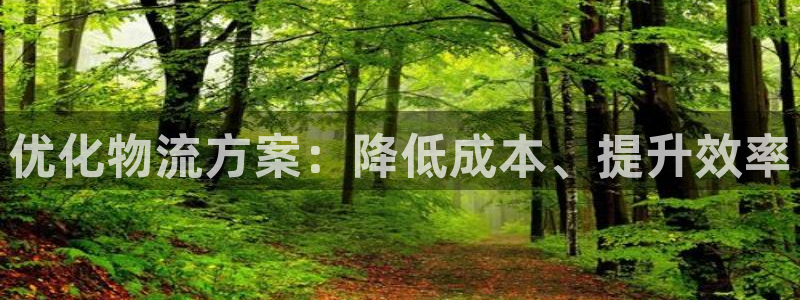 豪门国际网赌有什么风险：优化物流方案