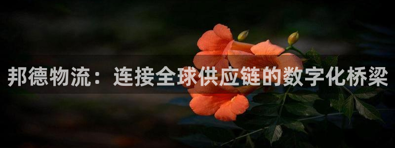 豪门国际黑吗：邦德物流：连接全球供应