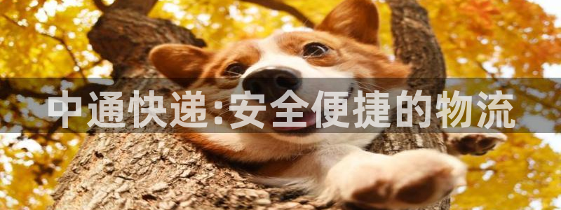 豪门国际激活码