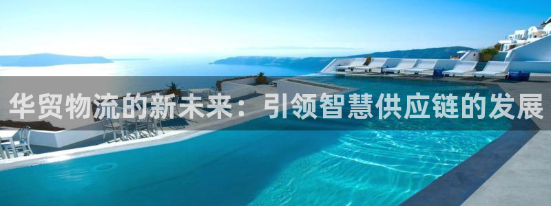 豪门国际龙虎：华贸物流的新未来：引领