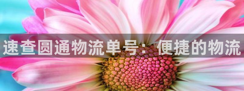 豪门国际分分28预测:速查圆通物流单